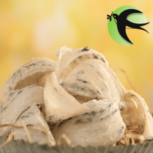 tổ yến thô thượng hạng