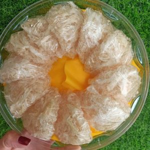 Khi nào nên mua chân yến thô thượng hạng?