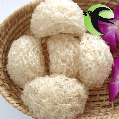 Yến vụn tinh chế