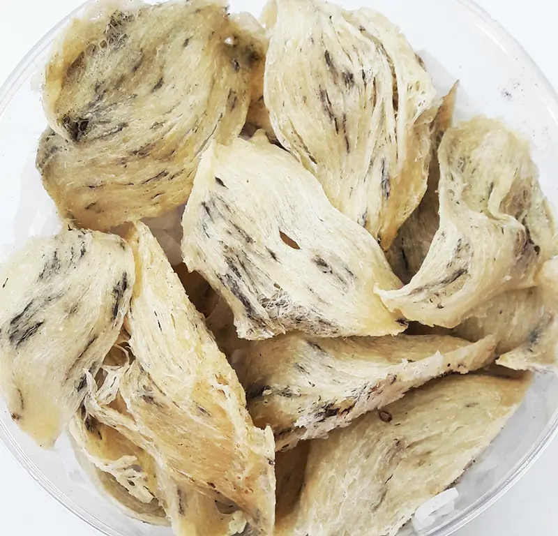 Cách chế biến tổ yến thô và làm sạch