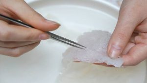 Cách làm yến thô