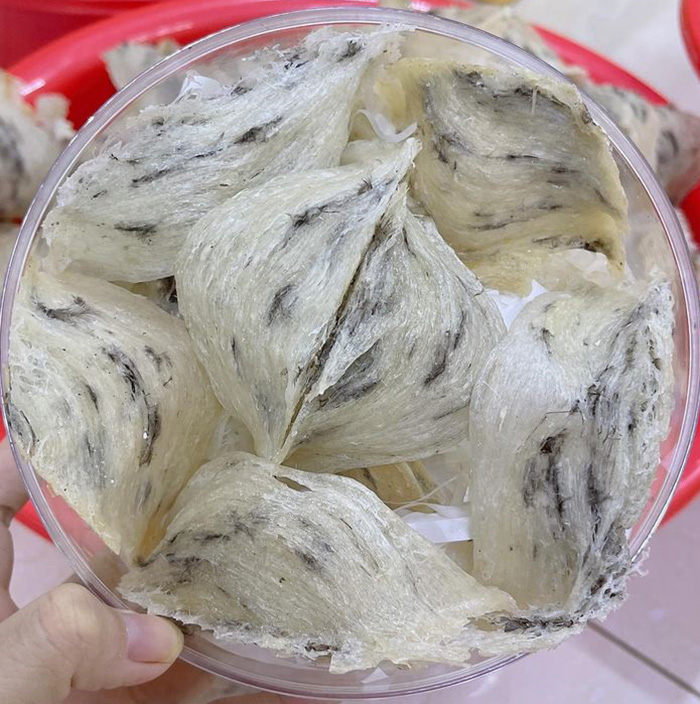 tổ yến còn lông