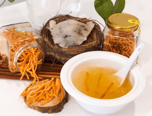 yến chưng đông trùng hạ thảo